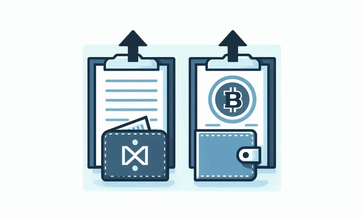 Contract Address vs Wallet Address
